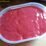 future glace fraises-framboise du jardin